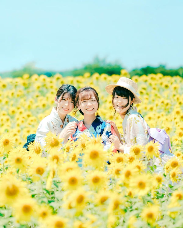 【2025日本向日葵🌻太陽花】東京近郊6大「黃金花海」打卡熱點！情侶、親子暑期必訪 (附交通及攝影貼士)