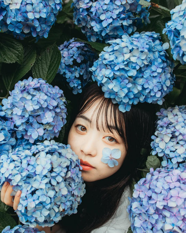 東京繡球花夢幻寫真：Yuriko捕捉你的浪漫瞬間